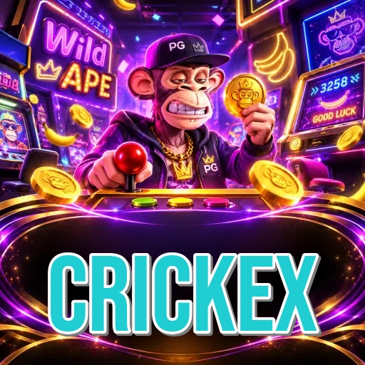 Developer Info crickex