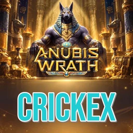 Who We Are at crickex