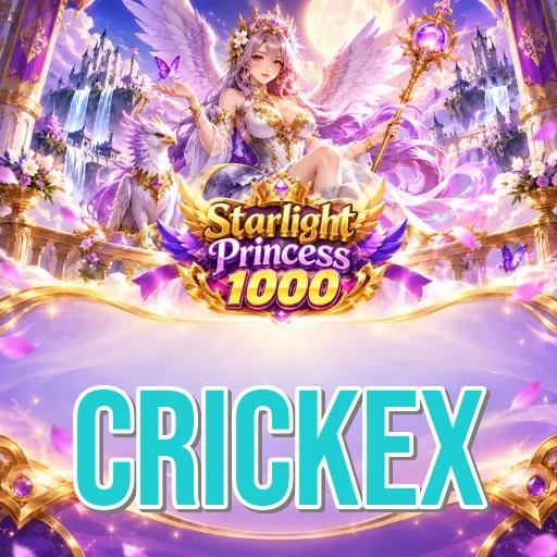Update Statistics crickex
