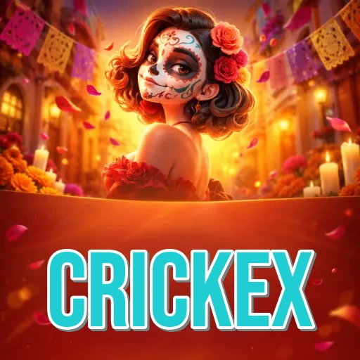 Certificates Icon