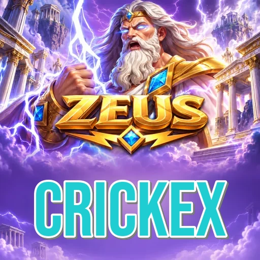 Privacy & Security crickex